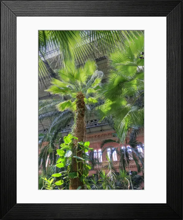 Framed Print : Spain, Madrid, Atocha Railway Station (Estacion de Atocha)