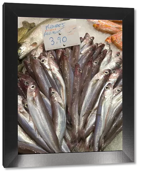Spain, Barcelona, La Rambla, La Boqueria Market, fish for sale