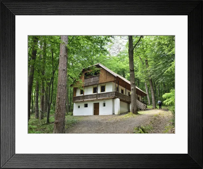 Framed Print : Traditional house in the forest. Bran, Brasov county Framed Print : Traditional house in the forest. Bran, Brasov county