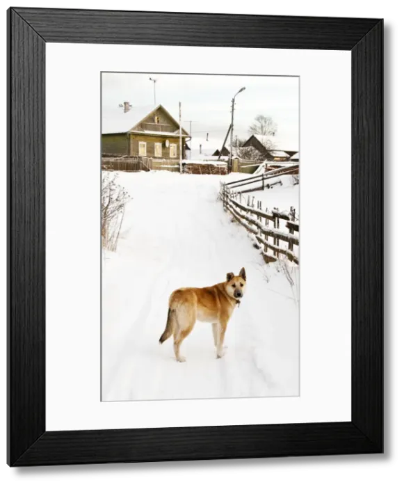 Framed Print : Winter, Pikalevo, Leningrad region, Russia