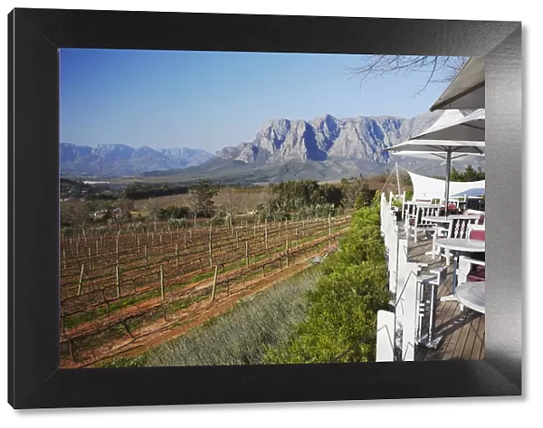 Restaurant overlooking vineyards at Delaire Wine Estate, Stellenbosch, Western Cape
