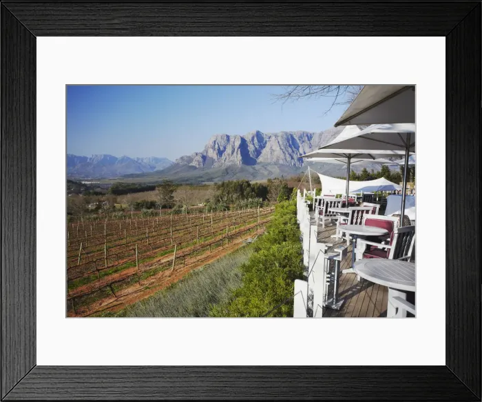Framed Print : Restaurant overlooking vineyards at Delaire Wine Estate, Stellenbosch, Western Cape Framed Print : Restaurant overlooking vineyards at Delaire Wine Estate, Stellenbosch, Western Cape