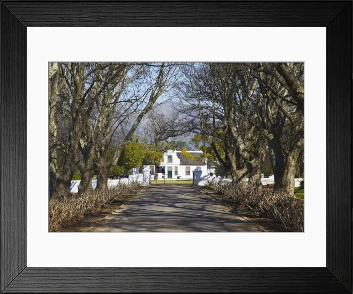 Framed Print : Boschendal Wine Estate, Franschhoek, Western Cape, South Africa