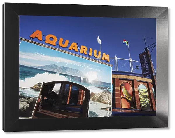 Two Oceans Aquarium, Victoria and Alfred Waterfront, Cape Town, Western Cape, South