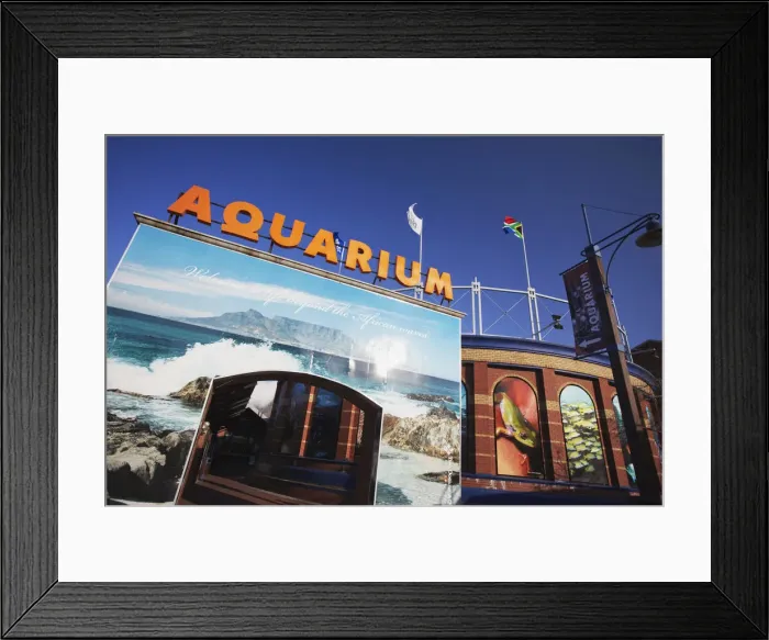Framed Print : Two Oceans Aquarium, Victoria and Alfred Waterfront, Cape Town, Western Cape, South Framed Print : Two Oceans Aquarium, Victoria and Alfred Waterfront, Cape Town, Western Cape, South