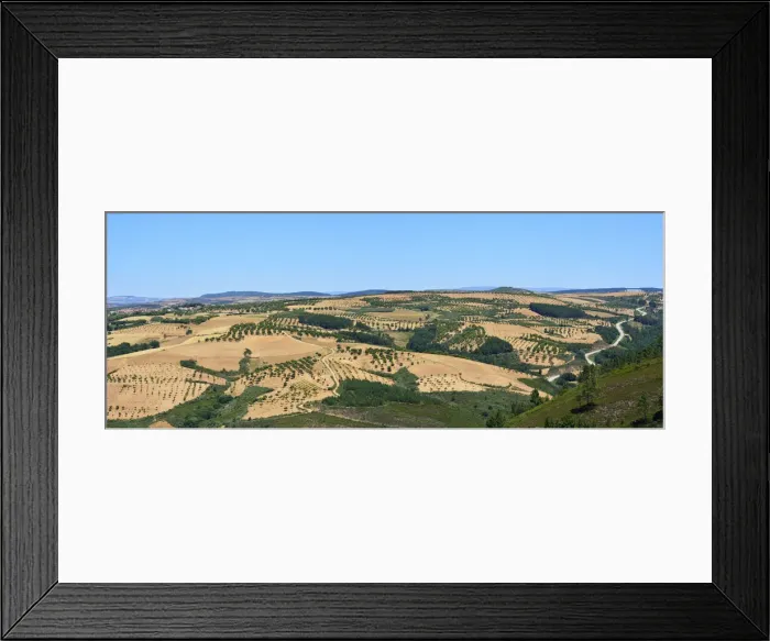 Framed Print : Chestnut trees in the Tras os Montes plateau. Macedo de Cavaleiros, Portugal Framed Print : Chestnut trees in the Tras os Montes plateau. Macedo de Cavaleiros, Portugal