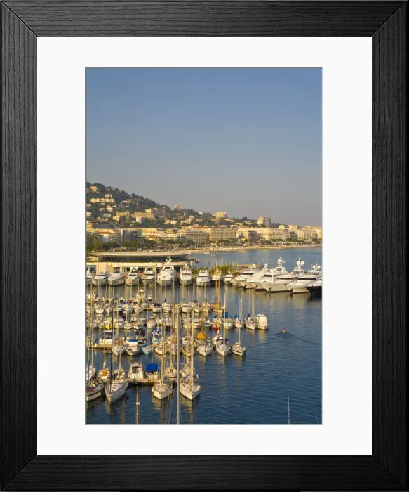 Framed Print : Vieux Port, Old Harbour, Cannes, Provence-Alpes-Cote d Azur, France Framed Print : Vieux Port, Old Harbour, Cannes, Provence-Alpes-Cote d Azur, France