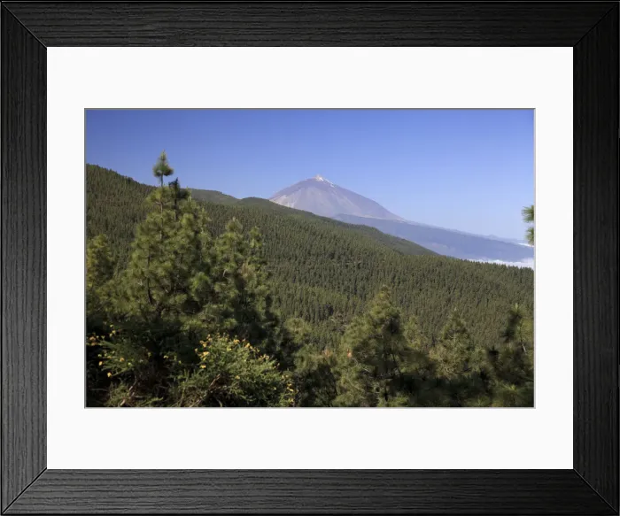 Framed Print : Canary Islands, Tenerife, Parque Nacional del Teide (Teide National Park), UNESCO Site Framed Print : Canary Islands, Tenerife, Parque Nacional del Teide (Teide National Park), UNESCO Site