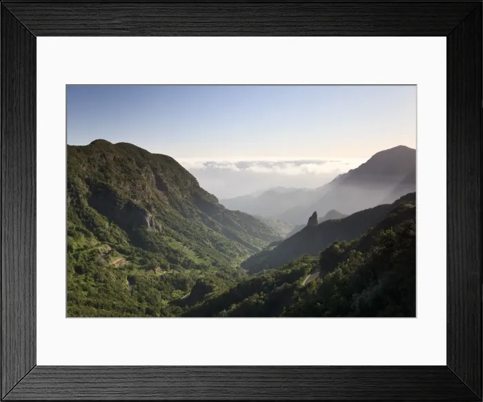 Framed Print : Canary Islands, La Gomera, Garajonay National Park (UNESCO Site) Framed Print : Canary Islands, La Gomera, Garajonay National Park (UNESCO Site)