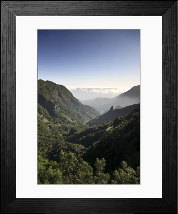 Framed Print : Canary Islands, La Gomera, Garajonay National Park (UNESCO Site) Framed Print : Canary Islands, La Gomera, Garajonay National Park (UNESCO Site)