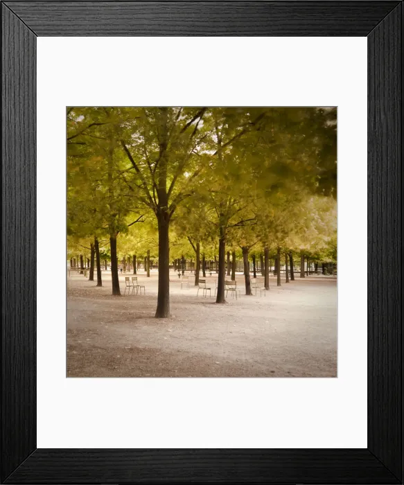 Framed Print : Jardin du Luxembourg, Latin Quarter, Paris, France Framed Print : Jardin du Luxembourg, Latin Quarter, Paris, France
