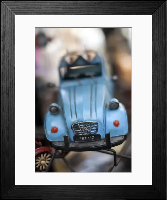 Framed Print : Flower market, Ile de la Cite, Paris, France Framed Print : Flower market, Ile de la Cite, Paris, France