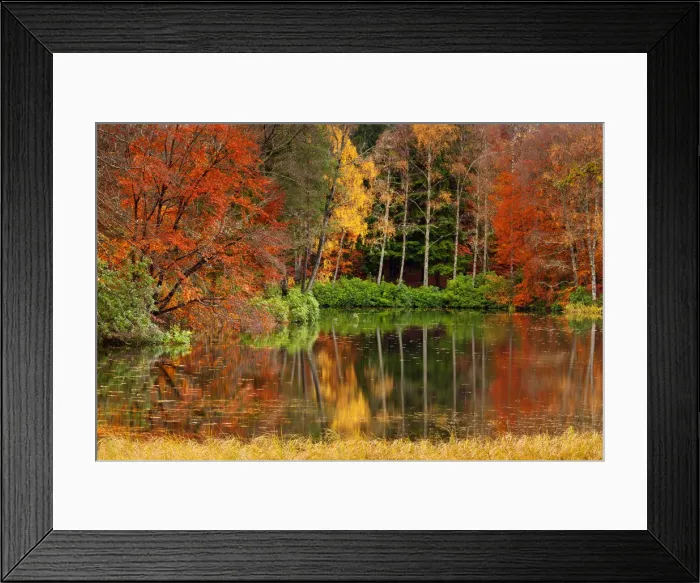 Framed Print : Loch Dunmore Reflections in Autumn, Pitlochry, Tayside Region, Scotland Framed Print : Loch Dunmore Reflections in Autumn, Pitlochry, Tayside Region, Scotland
