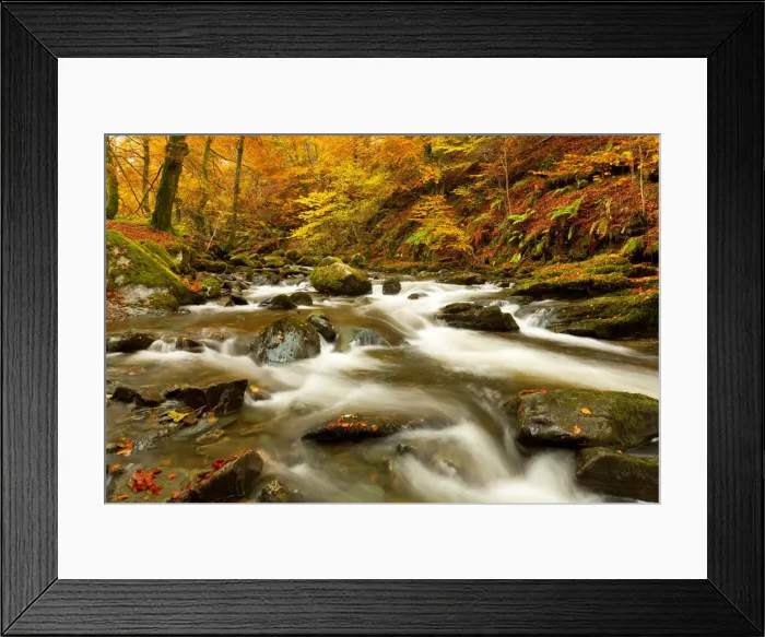 Framed Print : The Birks of Aberfeldy in Autumn, Aberfeldy, Tayside Region, Scotland Framed Print : The Birks of Aberfeldy in Autumn, Aberfeldy, Tayside Region, Scotland