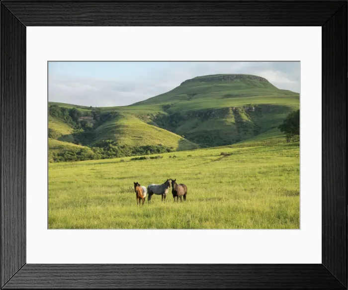 Framed Print : Africa, South Africa, African, Northern Drakensberg, KwaZulu-Natal, Montusi Mountain Framed Print : Africa, South Africa, African, Northern Drakensberg, KwaZulu-Natal, Montusi Mountain