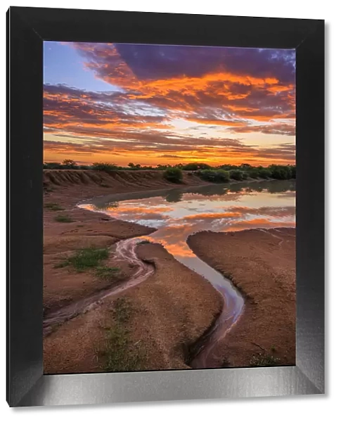 Africa, South Africa, African, Limpopo province, water hole at sunset