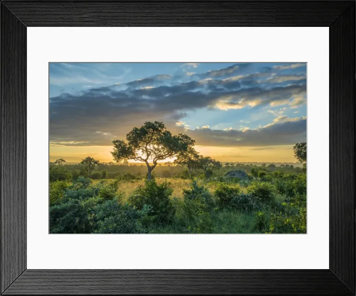 Framed Print : Africa, Southern Africa, African, Northeastern, Kruger National Park, sunset in the bush