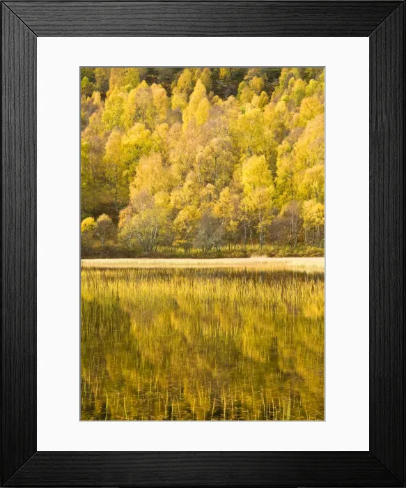 Framed Print : Loch reflections, Cairngorms National Park, Highlands, Scotland, UK Framed Print : Loch reflections, Cairngorms National Park, Highlands, Scotland, UK