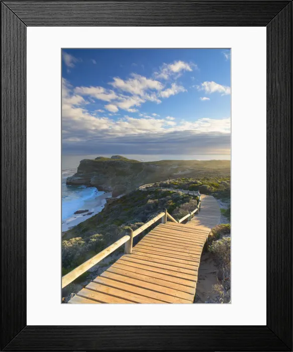 Framed Print : Cape of Good Hope, Cape Point National Park, Cape Town, Western Cape, South Africa Framed Print : Cape of Good Hope, Cape Point National Park, Cape Town, Western Cape, South Africa