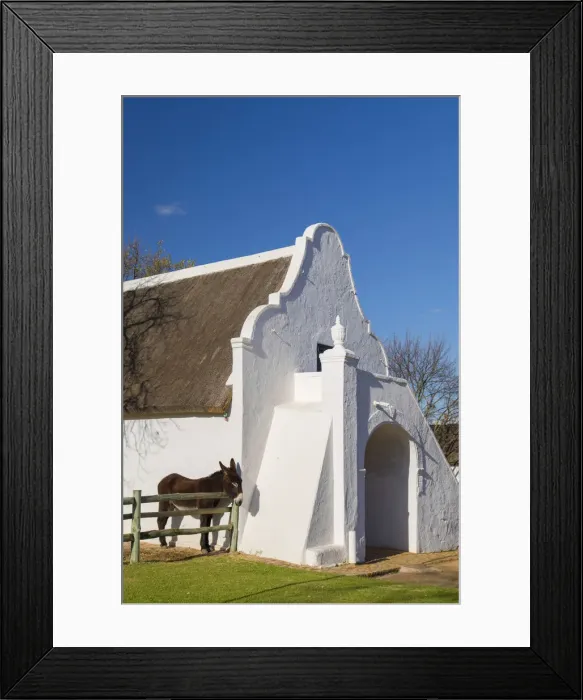 Framed Print : Babylonstoren Wine Estate, Paarl, Western Cape, South Africa Framed Print : Babylonstoren Wine Estate, Paarl, Western Cape, South Africa