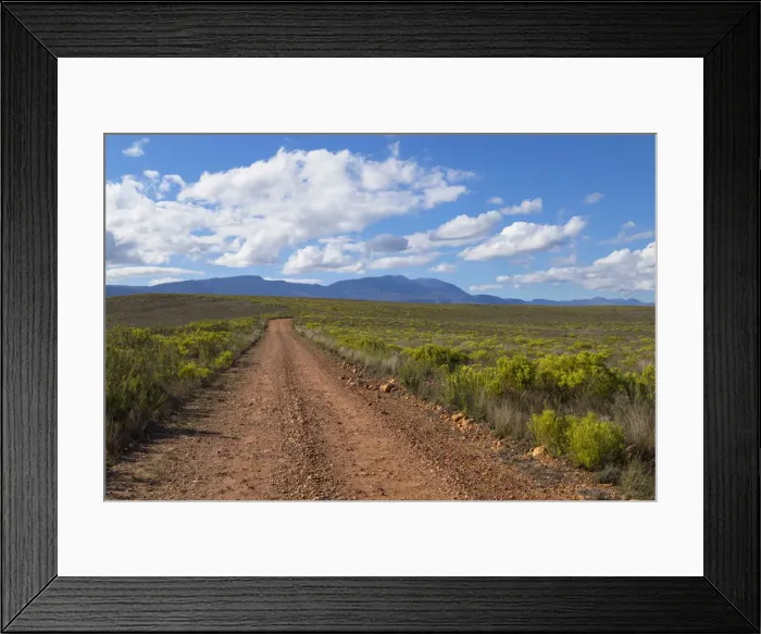 Framed Print : Bontebok National Park, Western Cape, South Africa