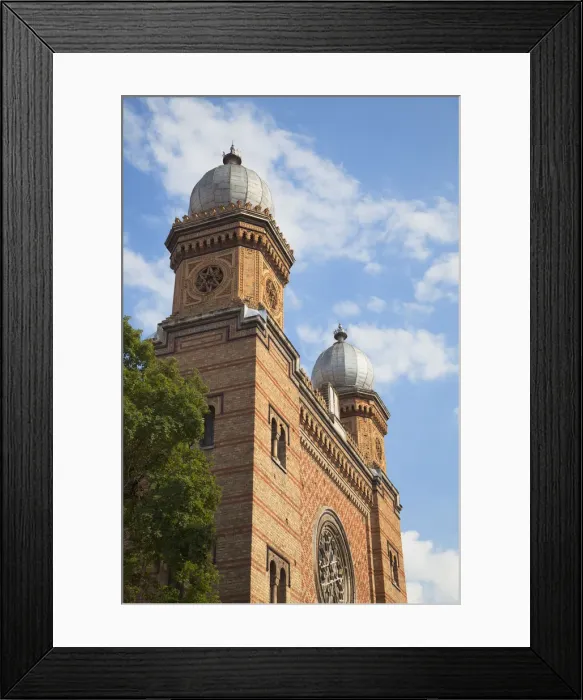 Framed Print : The Fortress Synagogue, Timisoara, Banat, Romania Framed Print : The Fortress Synagogue, Timisoara, Banat, Romania