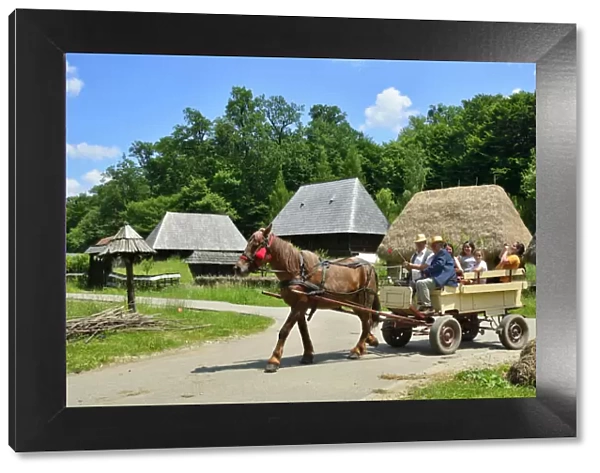 Houses of Maramures. ASTRA Museum of Traditional Folk Civilization, an open-air museum