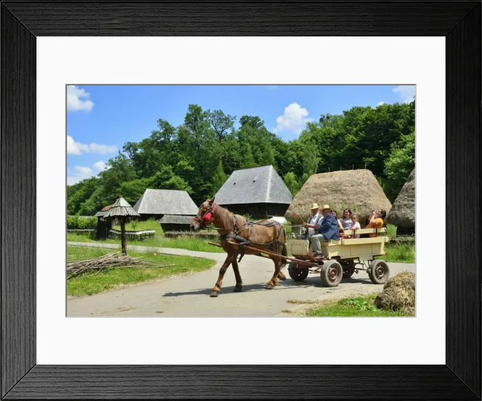 Framed Print : Houses of Maramures. ASTRA Museum of Traditional Folk Civilization, an open-air museum