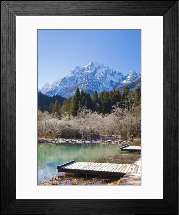 Framed Print : Slovenia, Gorenjska Region, Triglav National Park. Zelenci Swamps near Kranjska Gora Framed Print : Slovenia, Gorenjska Region, Triglav National Park. Zelenci Swamps near Kranjska Gora