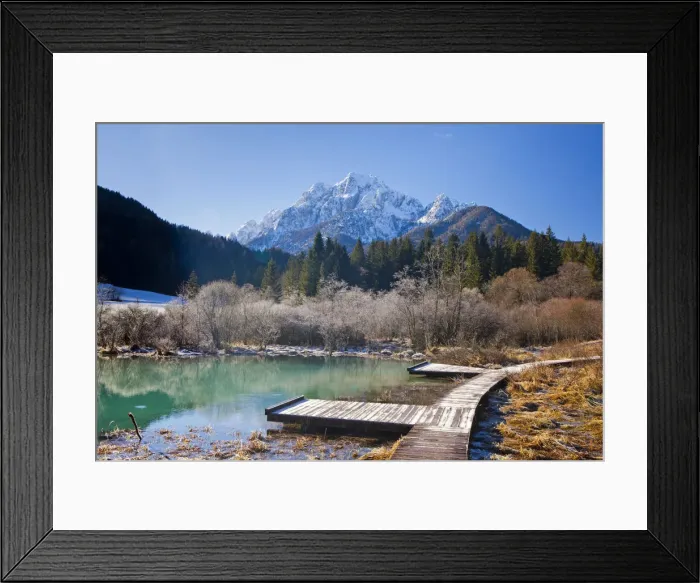 Framed Print : Slovenia, Gorenjska Region, Triglav National Park. Zelenci Swamps near Kranjska Gora Framed Print : Slovenia, Gorenjska Region, Triglav National Park. Zelenci Swamps near Kranjska Gora