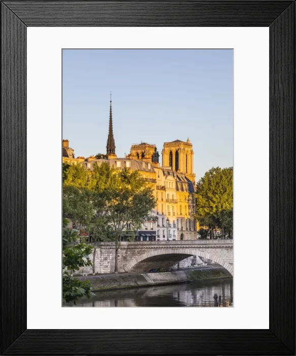Framed Print : Notre Dame Cathedral and Ile de la Cite, Paris, France Framed Print : Notre Dame Cathedral and Ile de la Cite, Paris, France