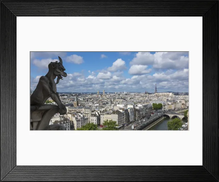Framed Print : View from the Notre Dame Cathedral, Paris, France Framed Print : View from the Notre Dame Cathedral, Paris, France