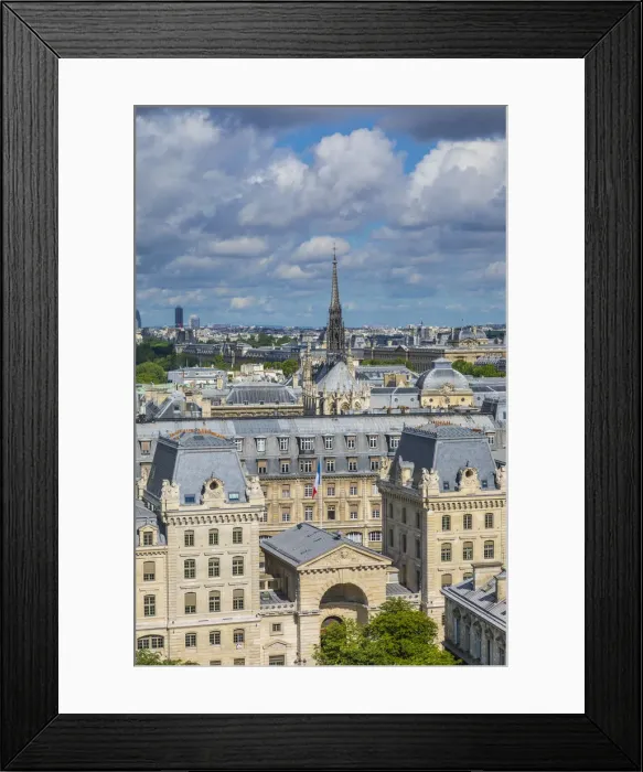 Framed Print : View from the Notre Dame Cathedral, Paris, France Framed Print : View from the Notre Dame Cathedral, Paris, France