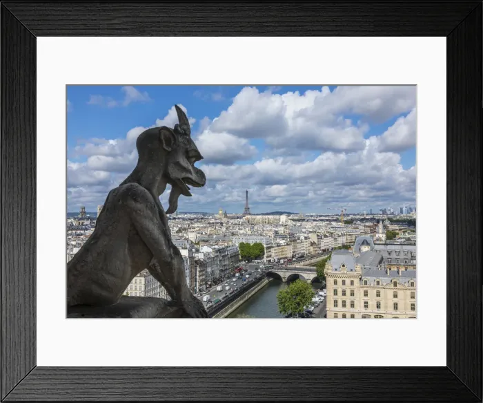 Framed Print : View from the Notre Dame Cathedral, Paris, France Framed Print : View from the Notre Dame Cathedral, Paris, France