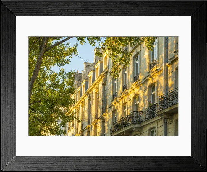 Framed Print : Riverfront buildings at sunrise, Ile de la Cite, Paris, France Framed Print : Riverfront buildings at sunrise, Ile de la Cite, Paris, France