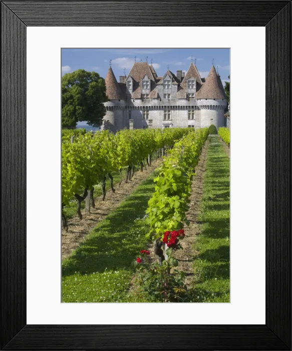 Framed Print : Chateau de Monbazillac, Dordogne, France