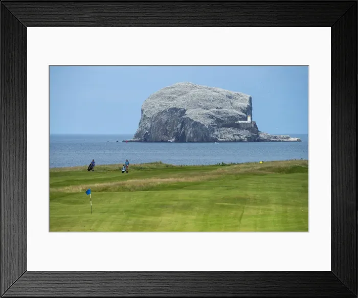 Framed Print : Europe, United Kingdom, UK, Scotland, East Lothian, North Berwick, Bass Rock, golf Framed Print : Europe, United Kingdom, UK, Scotland, East Lothian, North Berwick, Bass Rock, golf