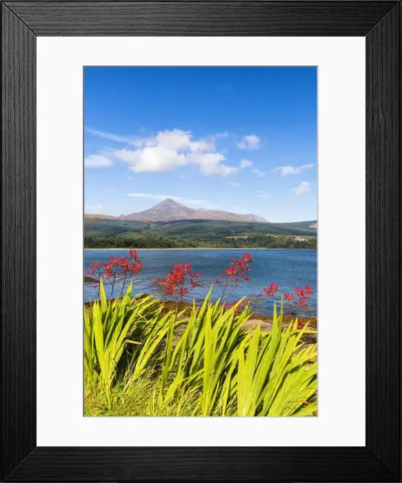 Framed Print : View towards Goatfell, the highest point of the island, Isle of Arran, Firth of Clyde Framed Print : View towards Goatfell, the highest point of the island, Isle of Arran, Firth of Clyde