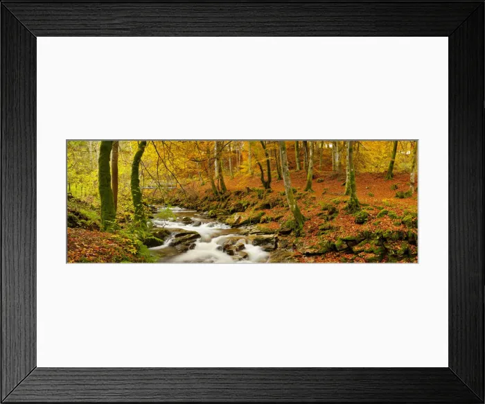 Framed Print : The Birks of Aberfeldy in Autumn, Aberfeldy, Tayside Region, Scotland Framed Print : The Birks of Aberfeldy in Autumn, Aberfeldy, Tayside Region, Scotland