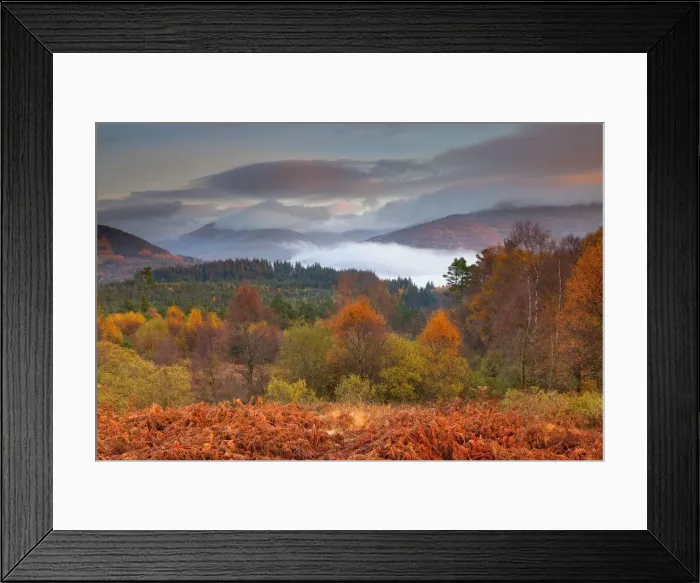 Framed Print : The Trossachs National Park in Autumn, Central Region, Stirling, Scotland Framed Print : The Trossachs National Park in Autumn, Central Region, Stirling, Scotland