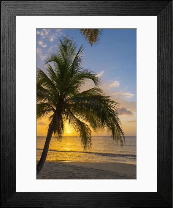 Framed Print : Caribbean, Grenada, Magazine Beach Framed Print : Caribbean, Grenada, Magazine Beach
