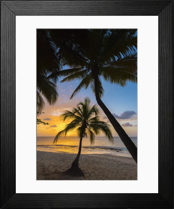 Framed Print : Caribbean, Grenada, Magazine Beach Framed Print : Caribbean, Grenada, Magazine Beach