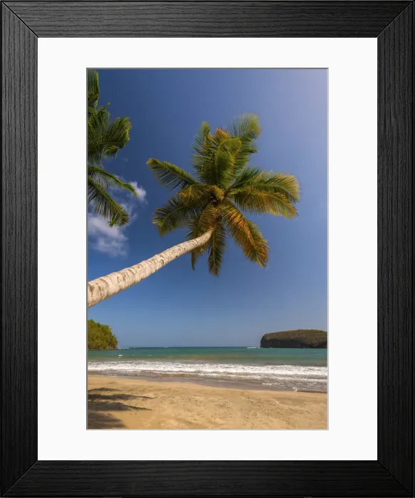 Framed Print : Caribbean, Grenada, La Sagesse Bay, La Sagesse Beach Framed Print : Caribbean, Grenada, La Sagesse Bay, La Sagesse Beach