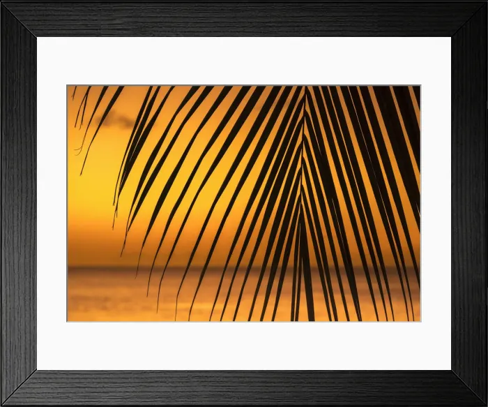 Framed Print : Caribbean, Grenada, Grand Anse Bay, Grand Anse Beach Framed Print : Caribbean, Grenada, Grand Anse Bay, Grand Anse Beach