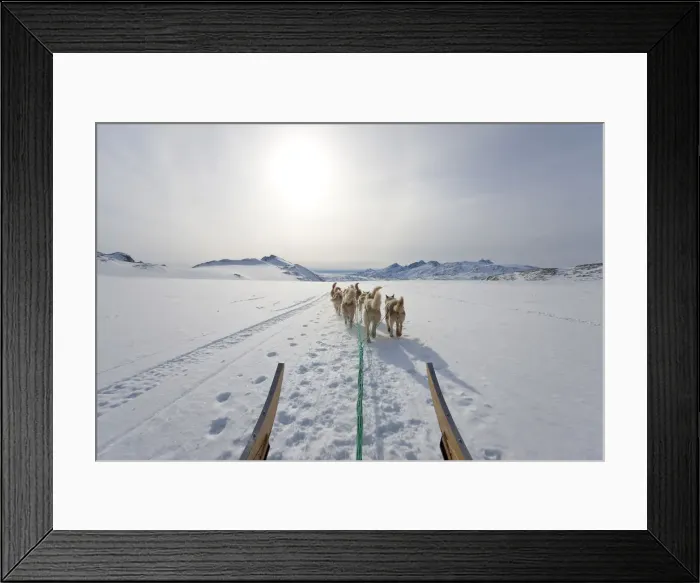 Framed Print : Dog sledding, E. Greenland Framed Print : Dog sledding, E. Greenland