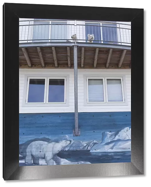 Greenland, Qaqortoq, polar bear mural