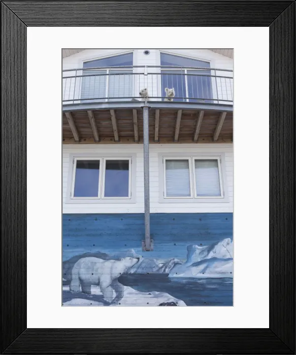 Framed Print : Greenland, Qaqortoq, polar bear mural Framed Print : Greenland, Qaqortoq, polar bear mural