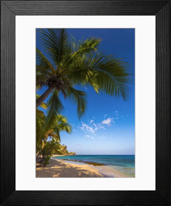 Framed Print : Caribbean, Grenada, Magazine Beach Framed Print : Caribbean, Grenada, Magazine Beach
