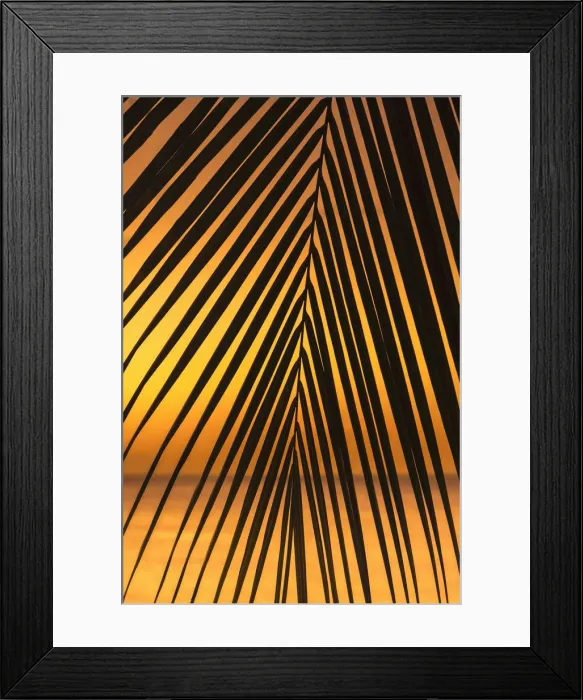 Framed Print : Caribbean, Grenada, Grand Anse Bay, Grand Anse Beach Framed Print : Caribbean, Grenada, Grand Anse Bay, Grand Anse Beach