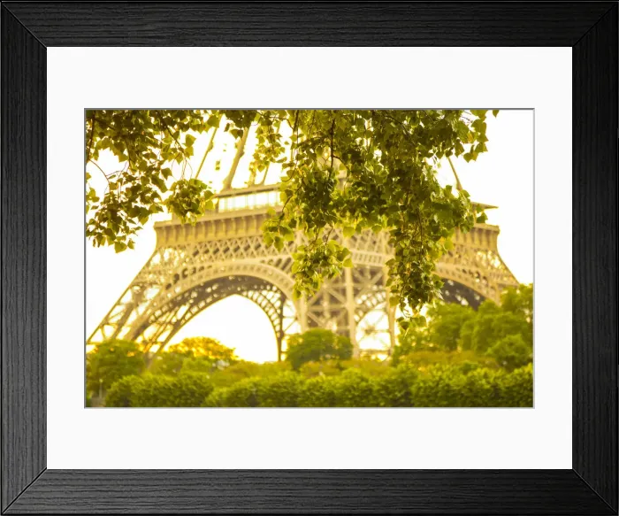 Framed Print : Eiffel Tower, Paris, France Framed Print : Eiffel Tower, Paris, France